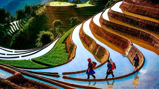 2 weken in Noord-Vietnam met het gezin van Fabrice