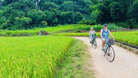 Vietnam in 15 dagen met het gezin - Hoe plan je de reis?