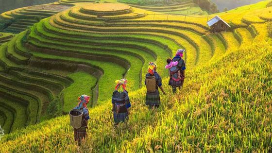 Wanneer Vietnam bezoeken? Klimaat in Vietnam per maand en regio