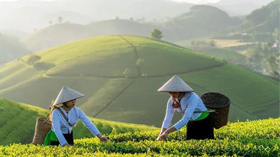 Vietnam in april - De complete gids om je reis te organiseren