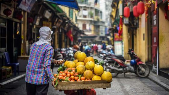 Vietnam in december - Wat te doen in Vietnam in december?