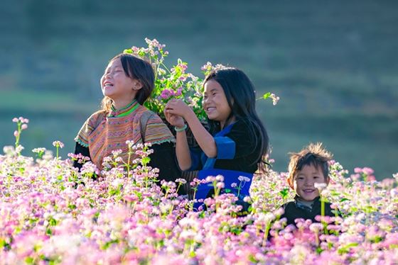 Vietnam in oktober - weer - bestemmingen - bezienswaardigheden - reisroute en FAQ