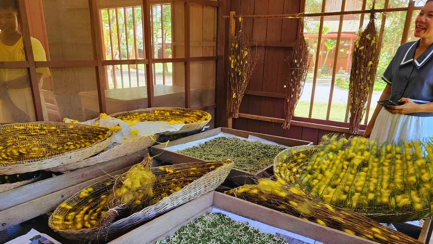 De charme van traditionele ambachtsdorpen in Battambang