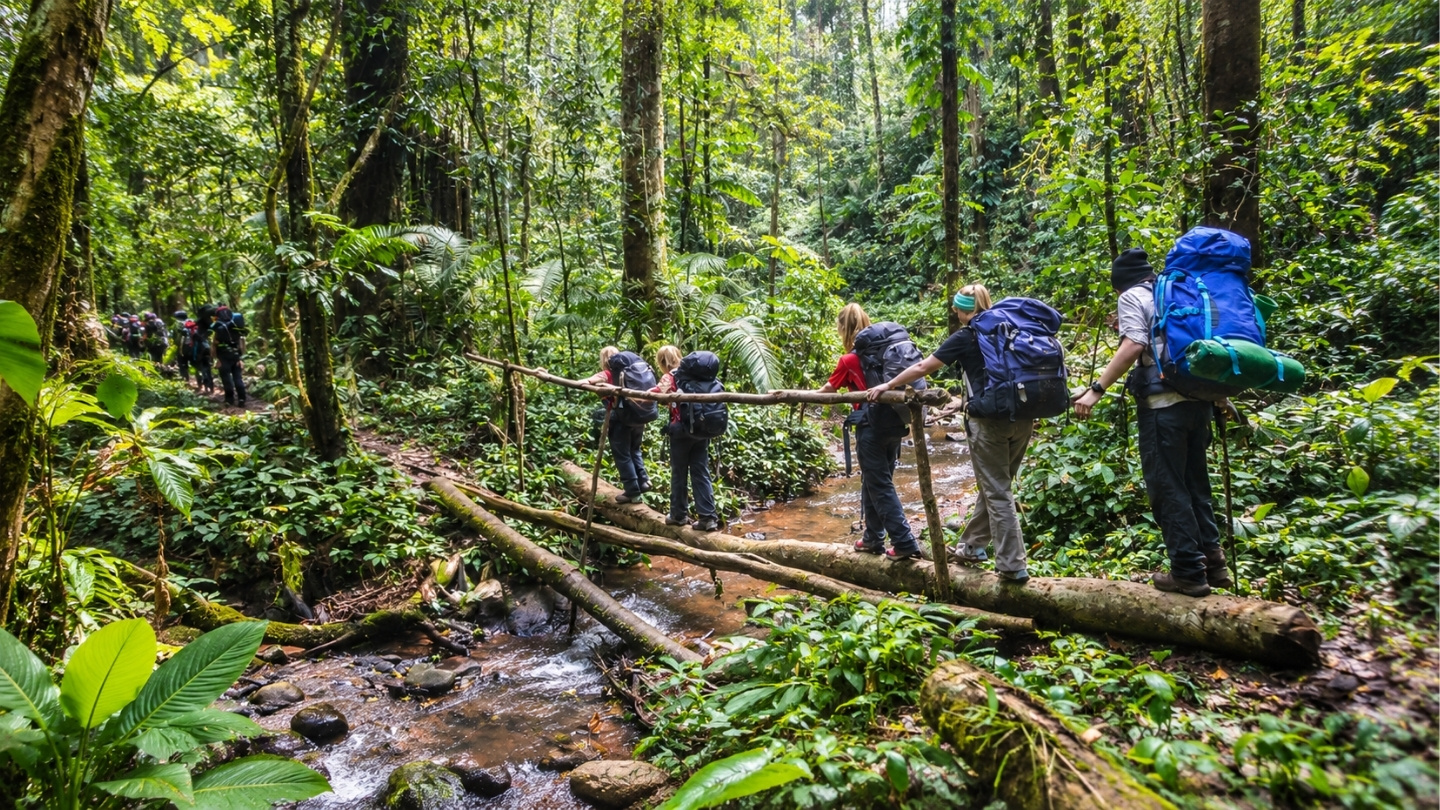 Wat te doen in Laos in september ? Trekking door groene landschappen
