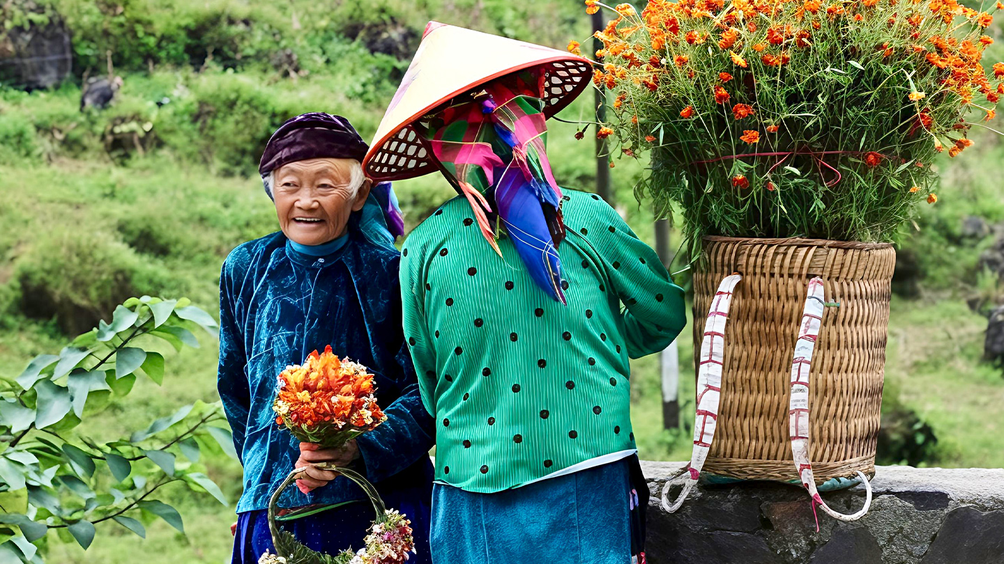 Vietnam 15 dagen voor senioren
