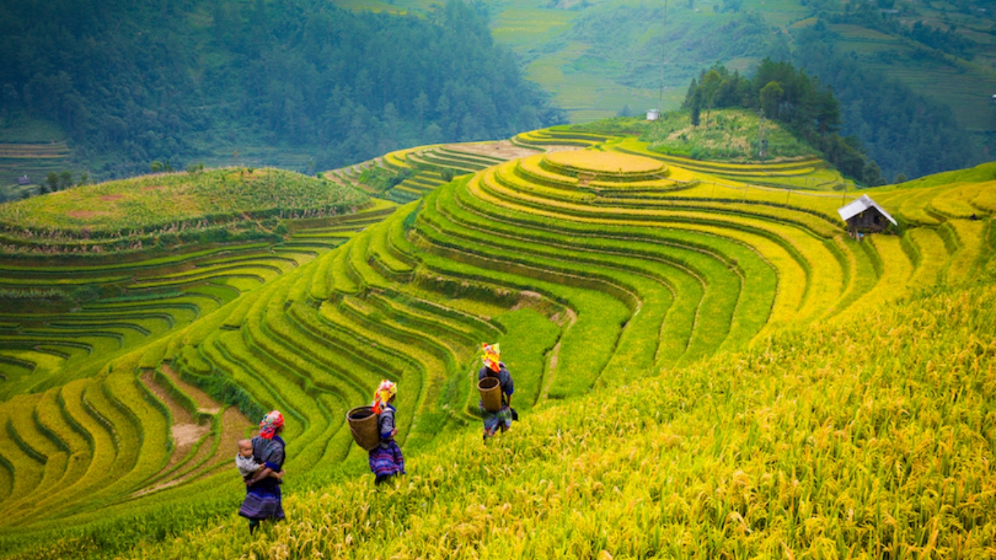 Ontdek de schilderachtige berggebieden van Noord-Vietnam