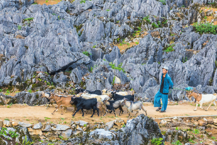 Welkom in Vietnam voor een boeiende 2 weken durende reis