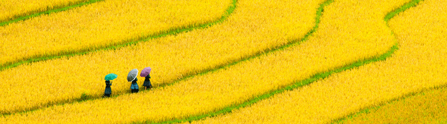 Welkom in Vietnam voor een boeiende 2 weken durende reis