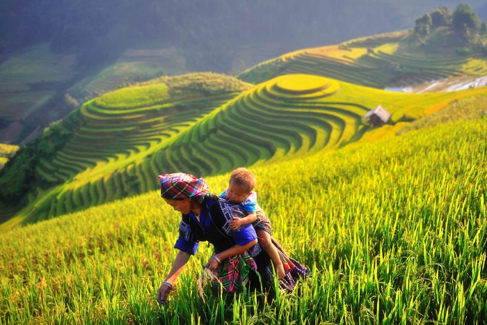 Welkom in Vietnam voor een boeiende 2 weken durende reis