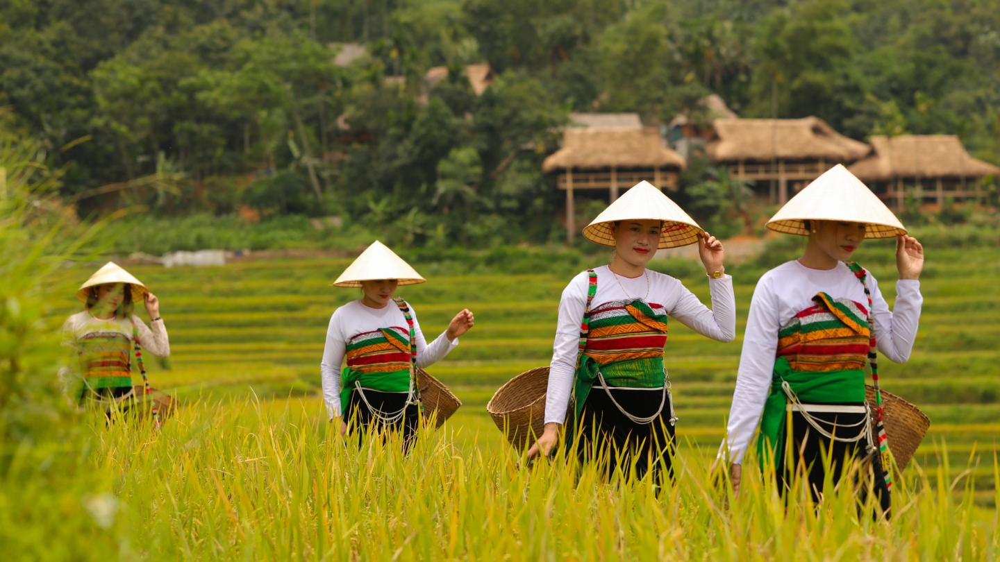 Welke maanden is het droge seizoen in Vietnam?