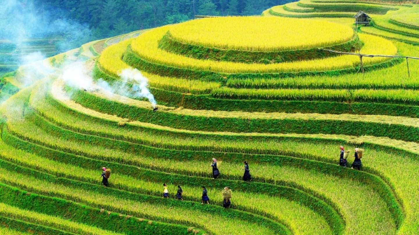 Wat is de beste maand om naar Vietnam te gaan?