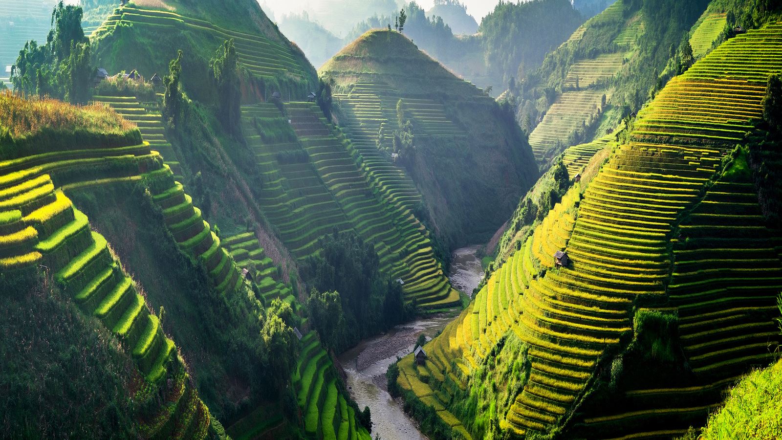 Vakantie Vietnam Rondreis