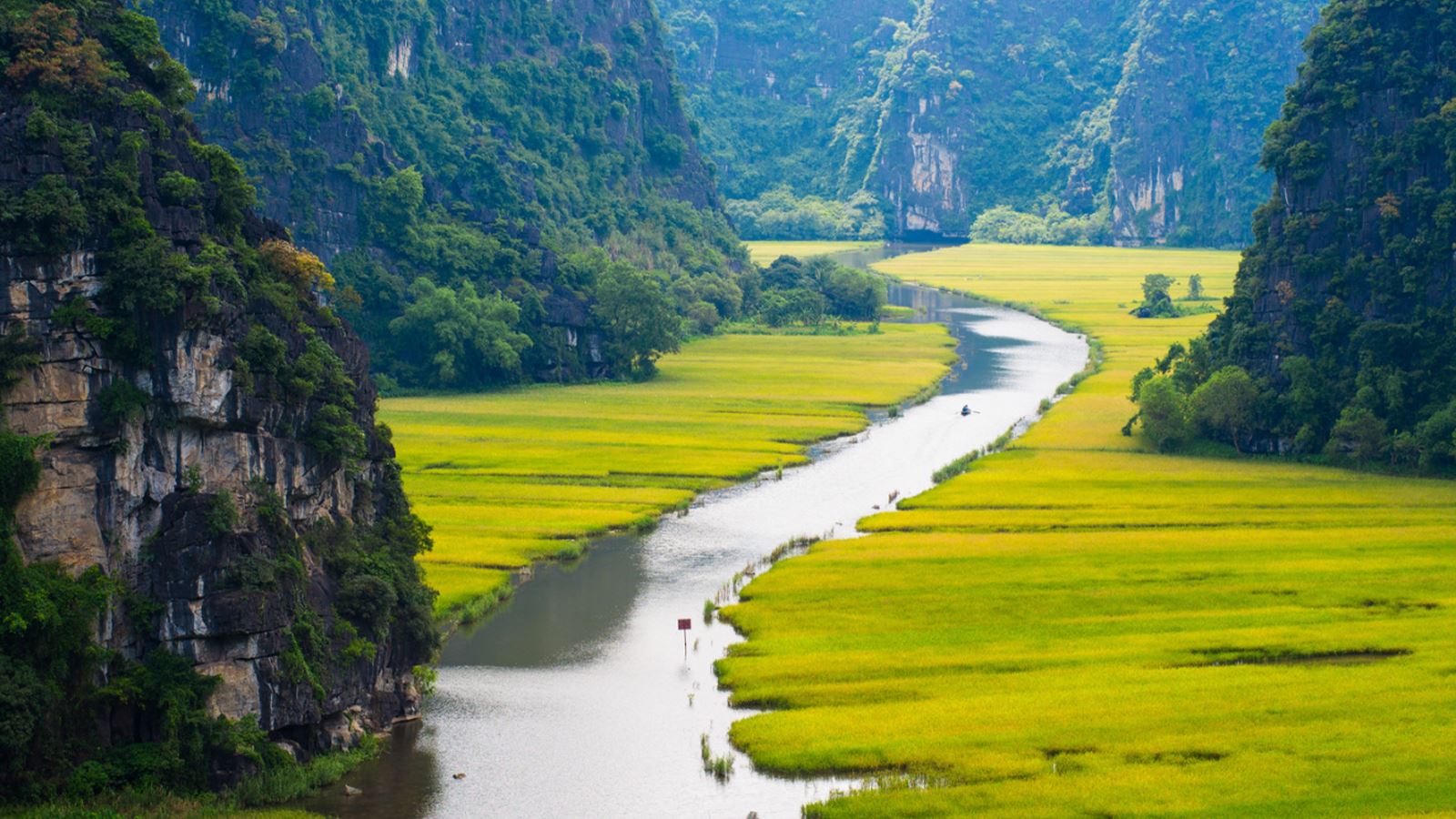 Vietnam 3 weken
