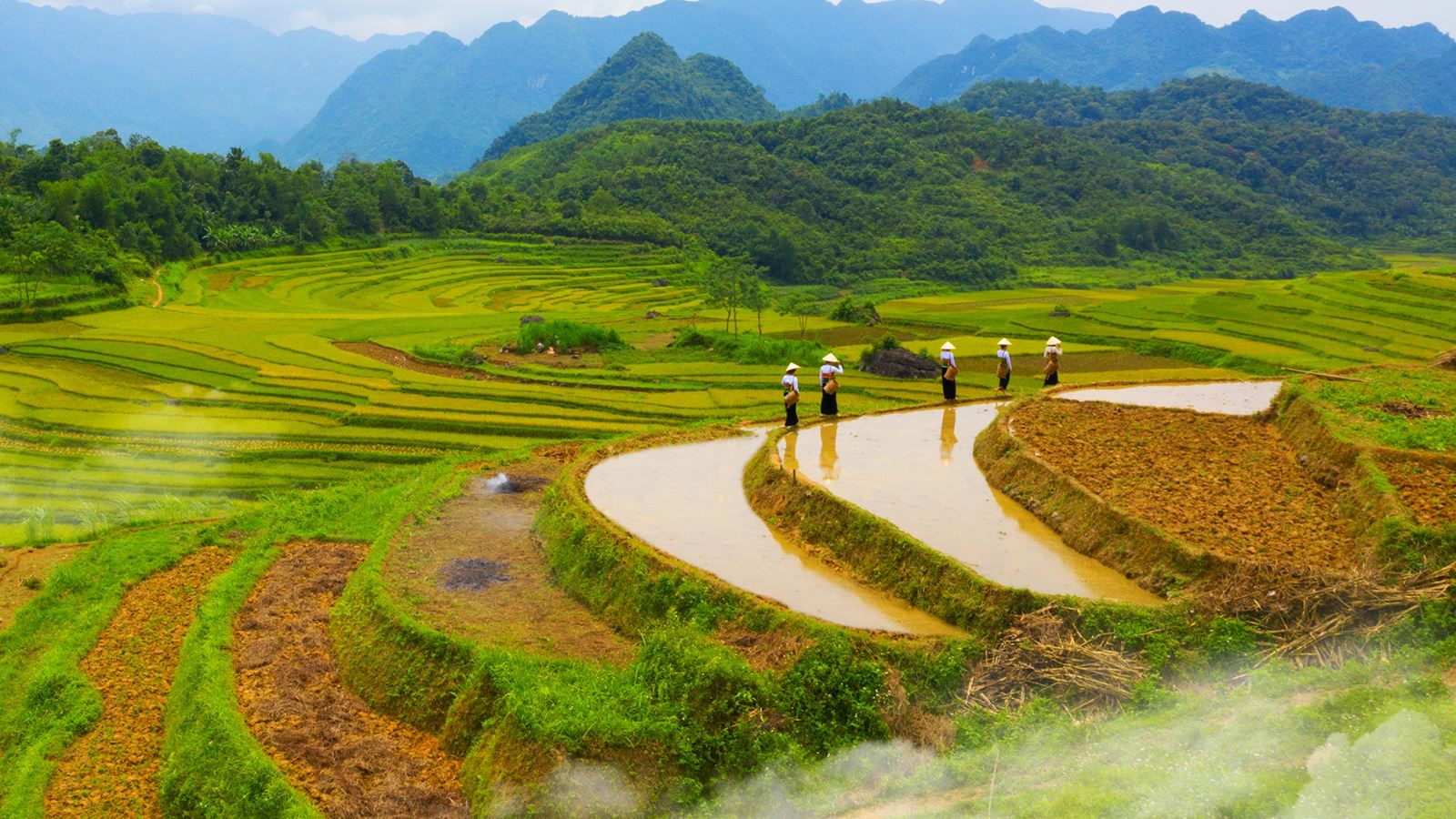 Vietnam rondreis
